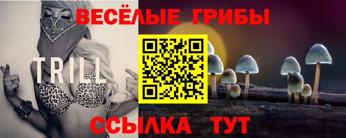 Псилоцибиновые грибы Psilocybe  Вход с VPN  Старая Купавна 
